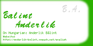 balint anderlik business card